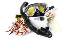 gear.png